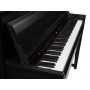 Pianino cyfrowe Medeli DP 650K