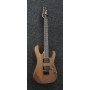 Gitara elektryczna Ibanez RG421-MOL