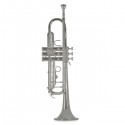 Trąbka Vincent Bach TR501S