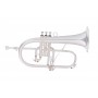 Flugelhorn MTP mod. F-835XS Custom