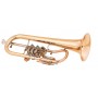 Flugelhorn MTP mod.25