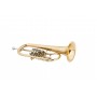 Flugelhorn MTP mod.212
