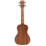 Ukulele Alvarez RU 26 C
