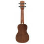 Ukulele Alvarez AU 70 WS (N)