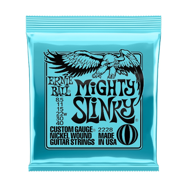 Struny do gitary elektrycznej Ernie Ball EB 2228 08,5-40