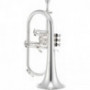 Flugelhorn Jupiter JFH1100RS