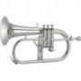 Flugelhorn Jupiter JFH1100RS
