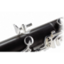 Klarnet Buffet Crampon DIVINE – strój A