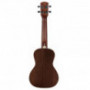 Ukulele Alvarez AU 70 WC (N)