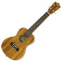 Ukulele Aria ACU-1K