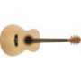 Gitara akustyczna Washburn WG 7 S (N)