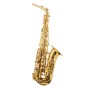 Saksofon altowy Trevor James The Horn 3730G