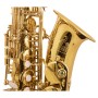 Saksofon altowy Trevor James The Horn 3730G