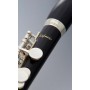 Flet piccolo Bulgheroni 401-R GS
